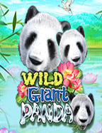 เคล็ดลับ วิธี อ่าน ไพ่ บา คา ร่า สล็อตปอยเปต แบบเซียน